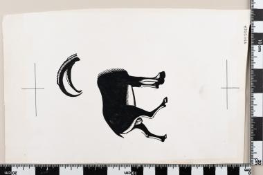 Ευρωπαϊκό Έτος Προστασίας της Φύσεως