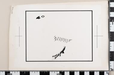 Ευρωπαϊκό Έτος Προστασίας της Φύσεως