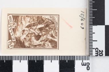 Γράμμος - Βίτσι