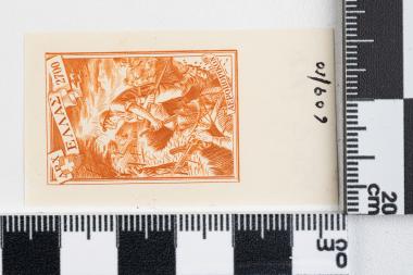 Γράμμος - Βίτσι