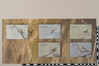 Ωδικά Πτηνά της Ελληνικής Υπαίθρου