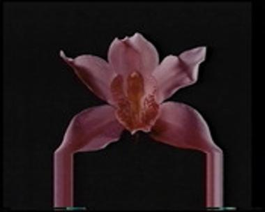 Η ΑΥΛΗ ΤΩΝ ΘΑΥΜΑΤΩΝ