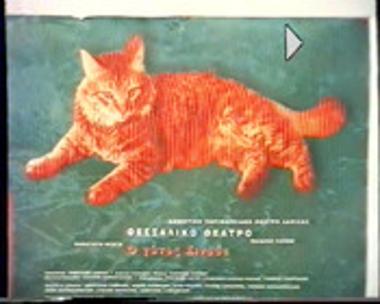 Ο ΓΑΤΟΣ ΣΙΝΟΥΕ