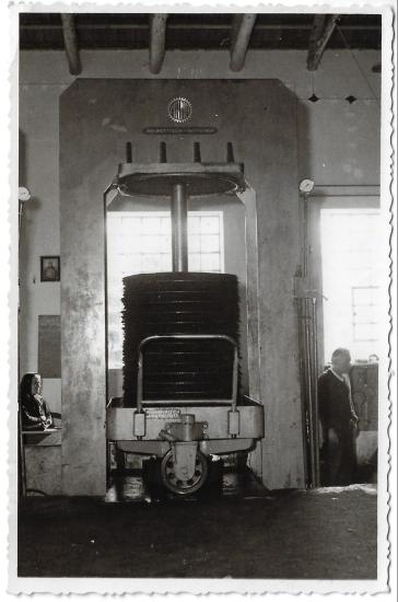 Ελαιουργικός Συναιτερισμός