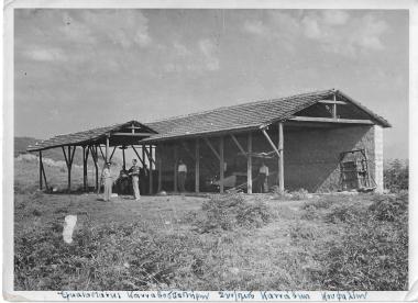 Συναιτερισμός Κάνναβης