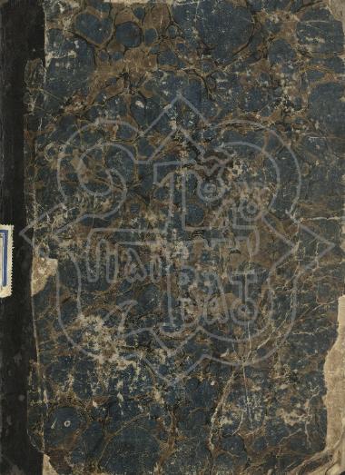 STEPHEN OF THE ETERNAL MOTHER THEY ARE THEOTORIANS