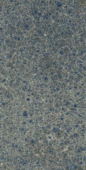 ΠΑΡΑΦΡΑΣΘΕΙΣ ΣΧΟΛΙΑΣΘΕΙΣ ΤΕ ΚΑΙ ΕΚΔΟΘΕΙΣ