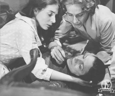 Το τελευταίο ψέμα