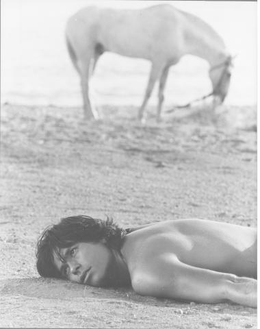 Μιχαλόπουλος Πάνος