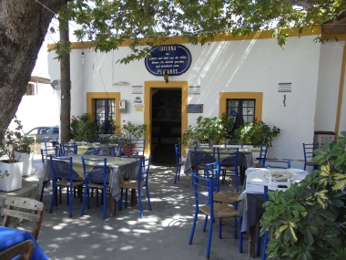 ΠΛΑΤΑΝΟΣ ΕΛΑΙΟΤΡΙΒΕΙΟ- ΠΑΡΑΓΩΓΗ ΛΑΔΙΟΥ