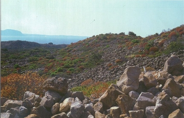 ΟΡΥΧΕΙΟ ΕΞΟΡΥΞΗΣ ΟΨΙΔΙΑΝΟΥ