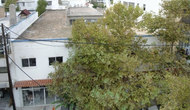 VIOMEL HATZIDIMITRIOU - PRODUCTION OF SUGAR PRODUCTS