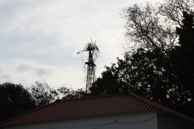 ΑΝΕΜΑΝΤΛΙΑ