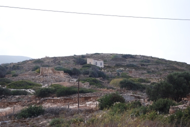 VINEYARD HOUSE OF THEODORA DIAKANDREA - AGRICULTURAL BUILDING NEAR VINEYARDS