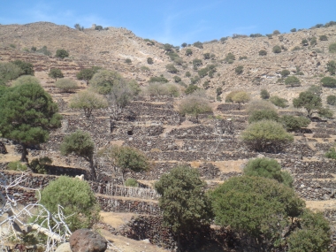 SPILADIA AND BOILERS IN THE VILLAGE AREA- FARMHOUSES