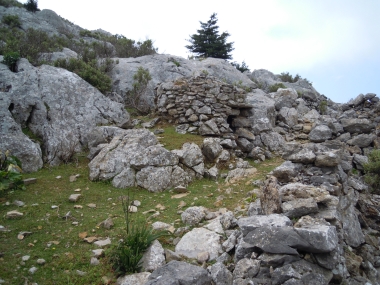 ΣΤΕΡΝΑ ΣΤΑ ΠΑΝΑΙΔΙΑ- ΥΔΑΤΟΔΕΞΑΜΕΝΗ