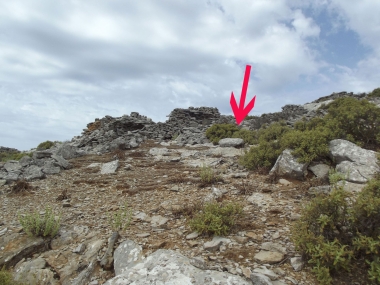 MONOLITHIC WINE PRESS