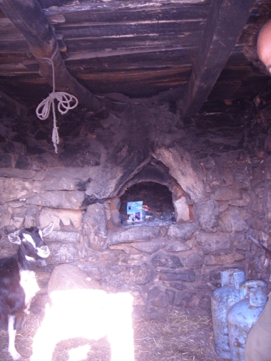WOOD OVEN