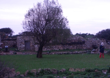 WINE PRESS- WINE PRODUCTION