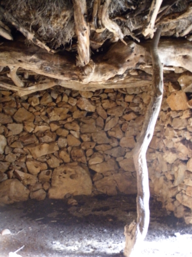 ΜΑΝΤΡΕΣ- ΣΤΑΒΛΙΣΜΑ ΖΩΩΝ