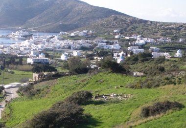 ΑΛΩΝΙ ΚΑΙ ΑΓΡΟΙΚΙΑ
