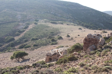 PADDOCK OF KUMAROS AND OF KONSTANTIS - LIVESTOCK ACTIVITY COMPLEX