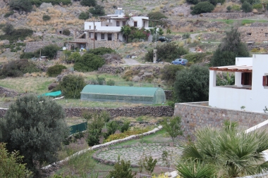 THRESHING OF THEOLOGOS GRYLLIS