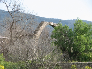 ΝΤΟΥΛΑΠΟΠΗΓΑΔΟ ΠΑΡΘΕΝΙΑΔΗ
