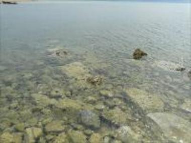 Ενάλια κατάλοιπα της κλασικής Πύλου