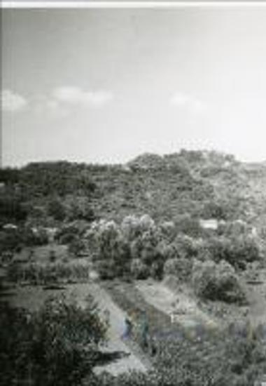 Photograph of Karpofora (Nichoria) from SE