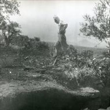 A worker at the excavation of the Palace at Englianos