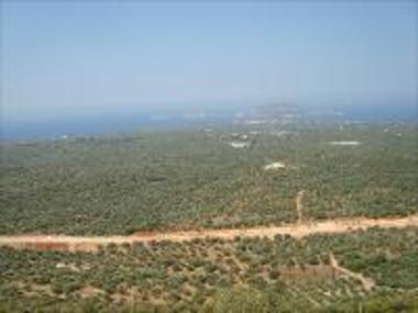 Megas Kambos and Kanalos, Gargalianoi, with Marathos and the island Proti at the background.