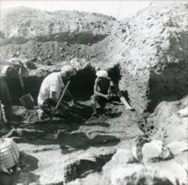 Φωτογραφία από τις ανασκαφές στην Τσοπάνη Ράχη