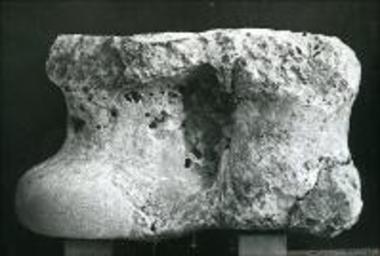 Stone astragalos from Tsopani Rachi