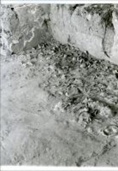 Excavation of the pantry at the Palace of Nestor