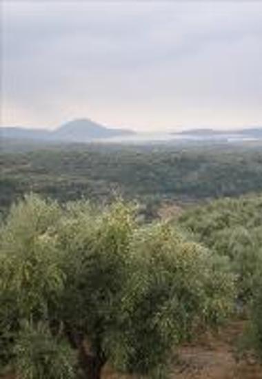 View to the bay of Navarino from Englianos