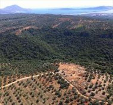 Αεροφωτογραφία αρχαιολογικού χώρου Ίκλαινας