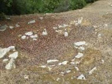 Burial circle of Nichoria