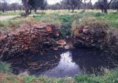 Tholos tomb 2 at Koukounara