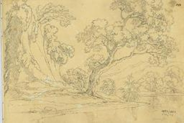 Παρόχθιο εξοχικό τοπίο με καλαμιές