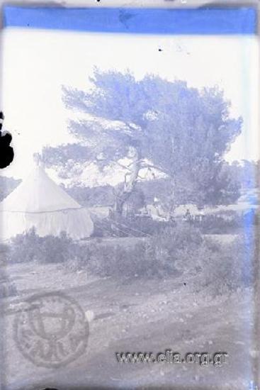 Κκατασκήνωσή του Οδοιπορικού Συνδέσμου  στο Καβούρι.