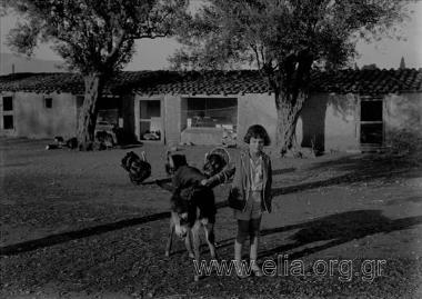 Η μικρή Μαρία Γεωργαντά με γαϊδουράκι στο κτήμα.