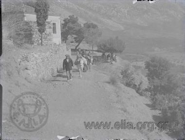 Excursion by mule over mountainous Phthiotis