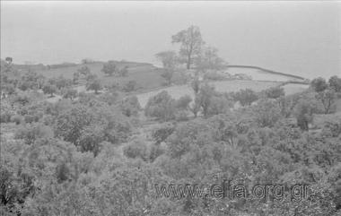 Αττικό παραθαλάσσιο τοπίο.