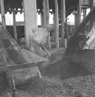 Kalogreza lignite mine