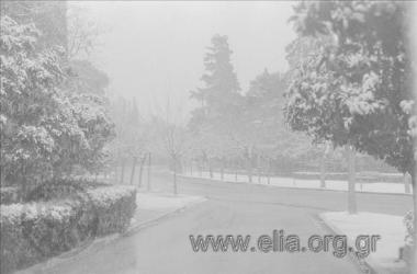 Σκηνές δρόμου, Αθήνα χιονισμένη, 9/3/1987.
