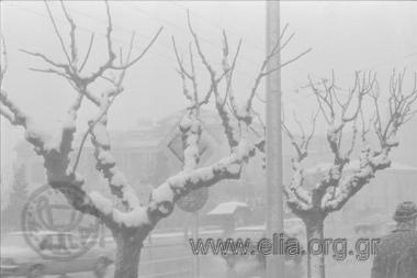 Σκηνές δρόμου, Αθήνα χιονισμένη, 9/3/1987.