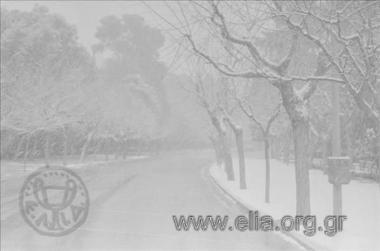 Σκηνές δρόμου, Αθήνα χιονισμένη, 9/3/1987.