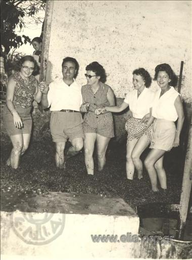 Must (unfermented grape juice) festival in Paiania