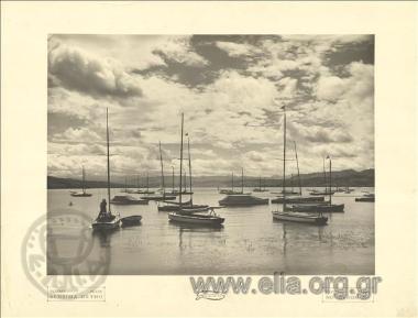 Harbor with sailing boats